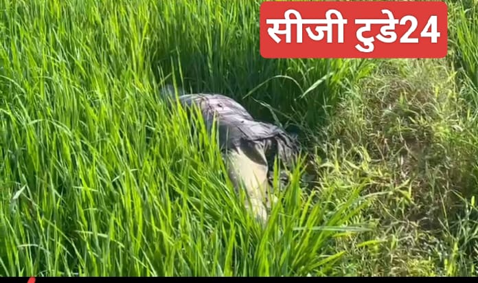 लुण्ड्रा ब्रेकिंग-खेत में युवक की लाश मिलने से सनसनी, परिजनों ने जताई हत्या की आशंका
